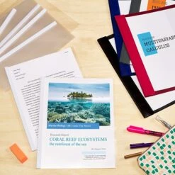 Avery Slide Locking Report Covers, Letter, Clear, 50/Pack (47710) -Esseltela Shop 32E5BEA0 BE4D 47E8 AD0CAF2A4E04D868 s7