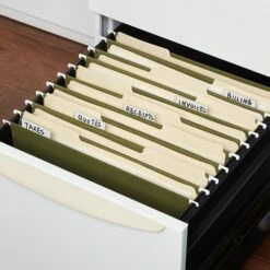 Staples Hanging File Folder, 5-Tab, Letter Size, Standard Green, 50/Box (TR266262) -Esseltela Shop 497C12B8 AFB1 46E0 B633C5B1584ADC1A s7