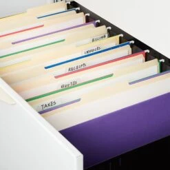 Staples Heavy Duty Hanging File Folders, 5-Tab, Legal Size, Assorted Colors, 25/Box (TR345001) -Esseltela Shop 58EE7AF5 DBFE 448B B80277A1814C80E9 s7