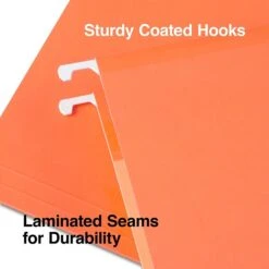 Staples Heavy Duty Reinforced Hanging File Folders, 5-Tab, Legal Size, Assorted Colors, 25/Box (TR18657) -Esseltela Shop C667C2C6 F081 4F6B A26404483CFF60D6 s7