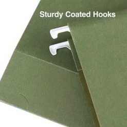 Staples Reinforced Box Bottom Hanging File Folder, 3" Expansion, Letter Size, Standard Green, 25/Box (TR418376) -Esseltela Shop DE814324 D5B7 4C9E B2D36D5545A05C05 s7