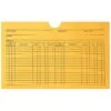 Medical Arts Press® Filing Envelopes, Patient Data File, 250/Box