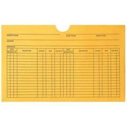 Medical Arts Press® Filing Envelopes, Patient Data File, 250/Box