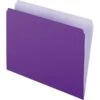 Pendaflex Two-Tone File Folder, Straight Cut, Letter Size, Lavender, 100/Box (PFX 152 LAV) -Esseltela Shop s0867676 s7