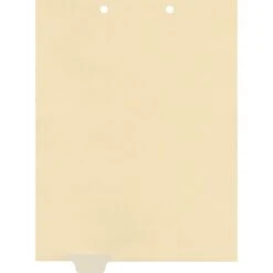 Medical Arts Press® Write-On End-Tab Chart Dividers, Position 2