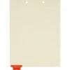 Medical Arts Press® Position 1 Colored End-Tab Chart Dividers, History/Physical, Orange -Esseltela Shop s0900004 s7