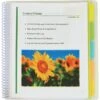 C-Line 10-Pocket Portfolio Folder With Write-On Tabs, Clear (CLI33650) -Esseltela Shop s0934392 s7