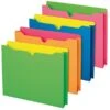 Pendaflex Glow Twisted File Jackets, Letter Size, Assorted, 10/Pack (49501) -Esseltela Shop s1069838 s7