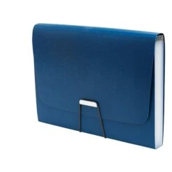 TRU RED™ Moisture Resistant Reinforced Plastic Filing Accordion File, 13-Pocket, Letter Size, Blue (TR52014)