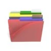 Staples File Folders, 1/3 Cut, Letter Size, Assorted Colors, 6/Pack (TR10847) -Esseltela Shop s1186753 s7