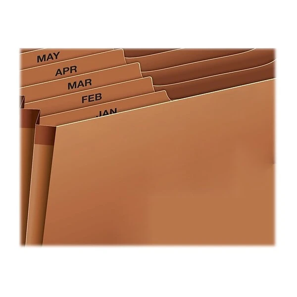 Pendaflex Heavy Duty Expanding File, 1-31 Index, Letter Size, 31-Pocket, Brown (PFX R217DHD) 3 Pendaflex Heavy Duty Expanding File, 1-31 Index, Letter Size, 31-Pocket, Brown (PFX R217DHD)