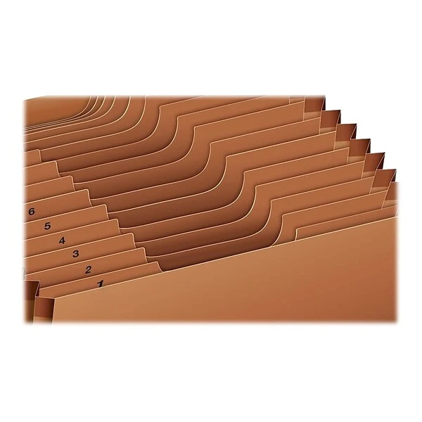 Pendaflex Heavy Duty Expanding File, 1-31 Index, Letter Size, 31-Pocket, Brown (PFX R217DHD) 4 Pendaflex Heavy Duty Expanding File, 1-31 Index, Letter Size, 31-Pocket, Brown (PFX R217DHD) - Image 2